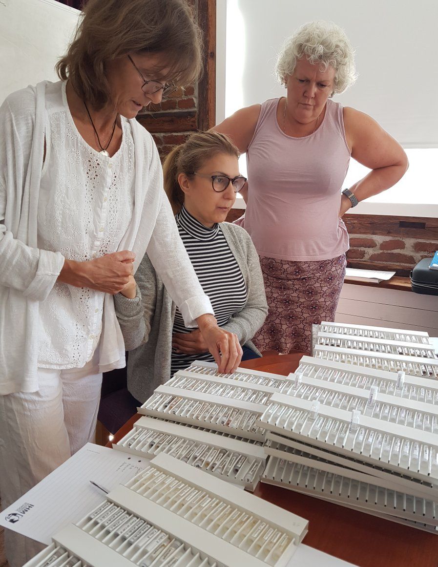 Kursstart i Biopatisk kinesiologi