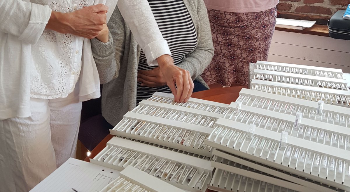 Biopatisk Kinesiologi, kursdatum